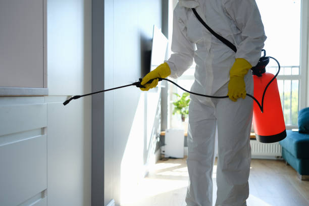 Best HVAC Mold Remediation in Tangerine, FL