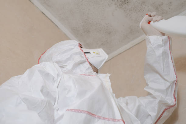 Best Mold Testing and Inspection Services in Tangerine, FL