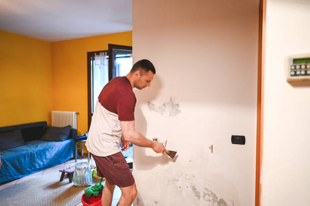 Best Insurance-Related Mold Remediation in Tangerine, FL